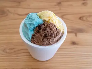 Helado 1/4 kg