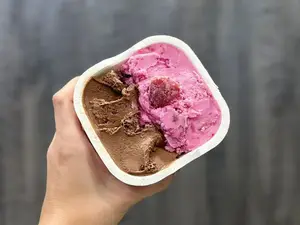 Helado 1/4 Vegano