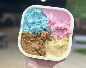 Helado Kg Vegano
