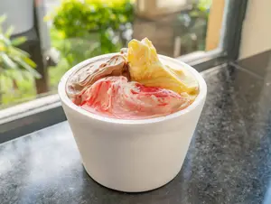 Helado 1/2 kg