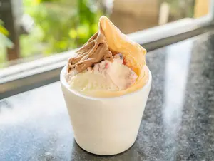 Helado 1/4