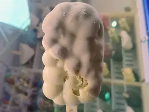 Paleta de pistacho