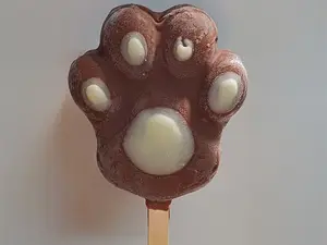 Paleta de garrita am