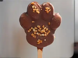 Paleta de garrita ch