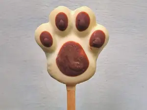 Paleta de garrita ddl
