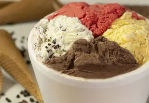 Helado 1 Kg Diet