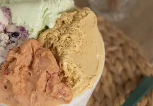 Helado 1 Kg Vegano