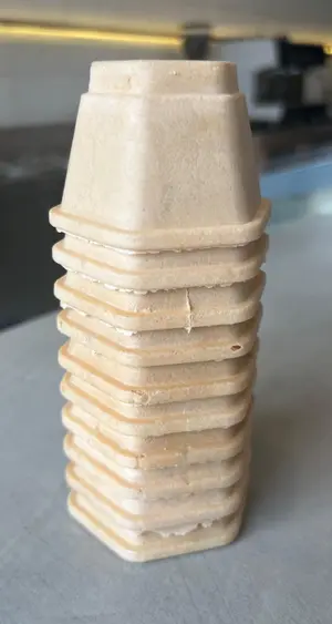 10 Vasos De Oblea