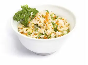 Yakimeshi Salmon