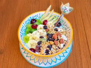 Yogurt Natural