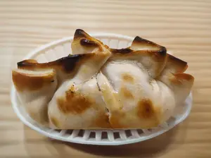 Cebolla y muzza