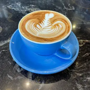 Capuchino 8oz