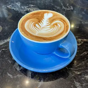 Mocha Negro