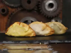 Dumpling de pollo fritos