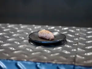 Nigiri salmon flambeado x2