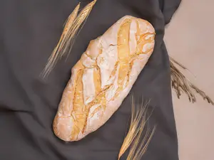 Pan de campo