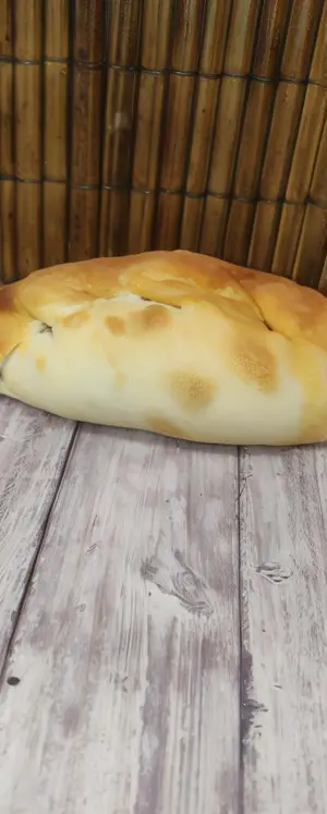 Empanada de pollo