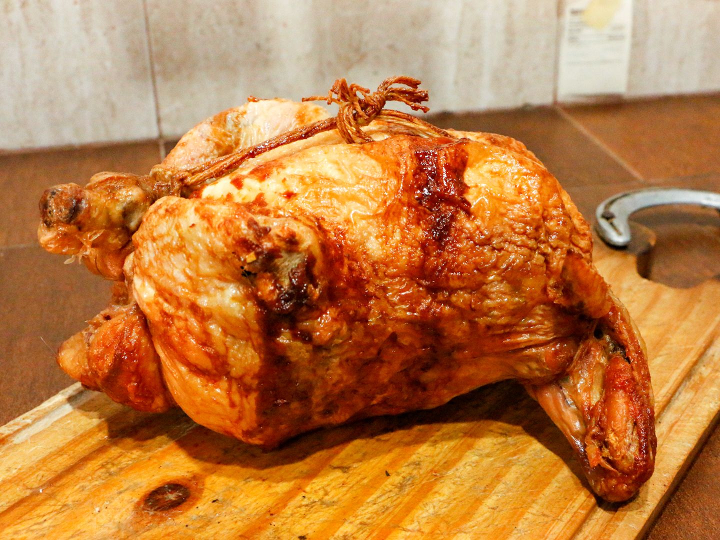 Pollo