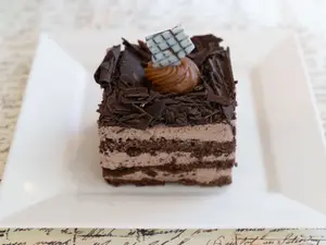Cuadrado Selva Negra