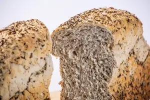 Pan con semillas
