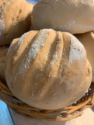 Pan de campo