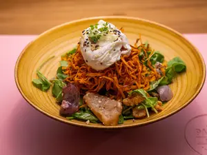 Panera Alternativa