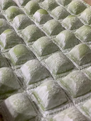 Ravioles ricota y verdura x pl