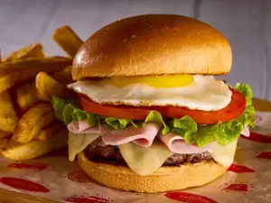 Hamburguesa n° 6 con papas
