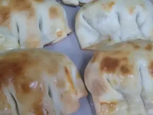 Pollo