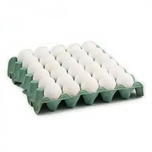 Huevos X Docena