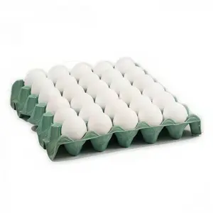 Maple De Huevos Blancos