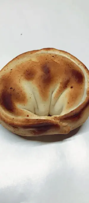 Pollo