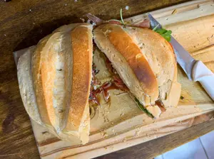 Toro y pampa