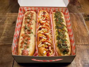 Box dog argento