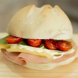 Bolognesa