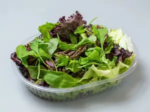 Todo Verde