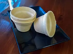 Vasitos