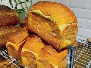 Pan Molde