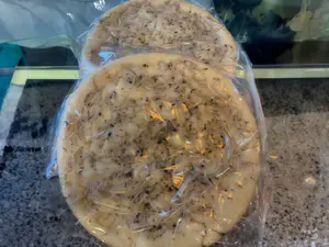PrePizza De Cebolla