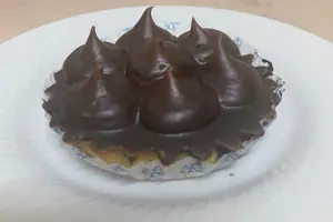 Porción havannet