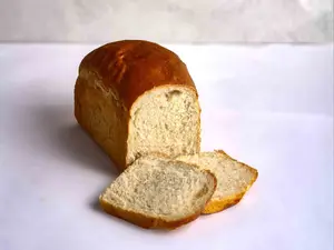 Lactal 500gr