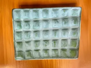 Ravioles de verdura y muzz.