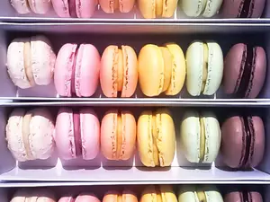 Macaron por unidad a elección