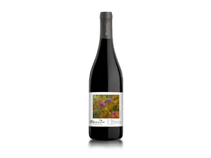 Claroscuro Gran Pinot Grigio 2023