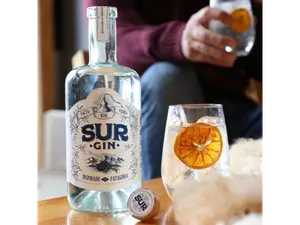 GIN TONIC