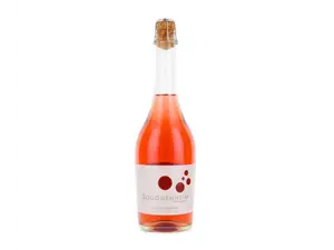 Gouguenheim Malbec Bubbles- Extra Brut