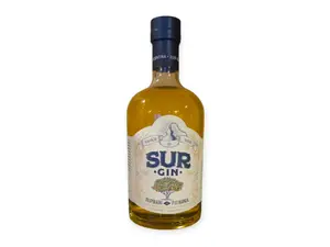 SUR GIN NARANJA
