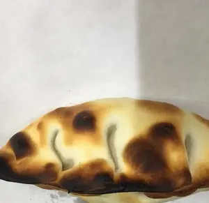 Empanada Pollo