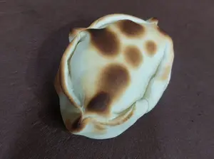 Empanada Queso Y Cebolla