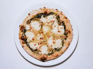 Quecomemosba napoletana